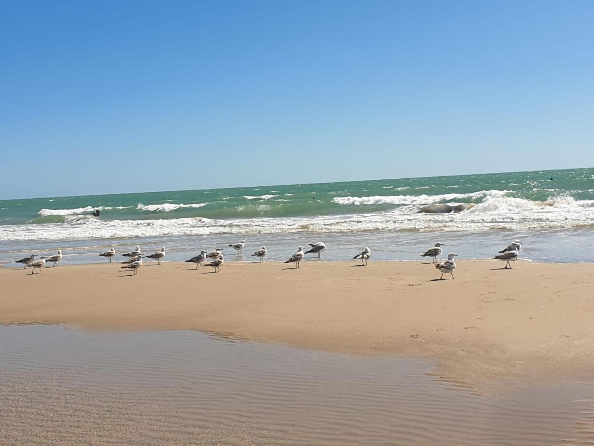 Apartamento Vista Azul Costa Ballena Bagian luar foto