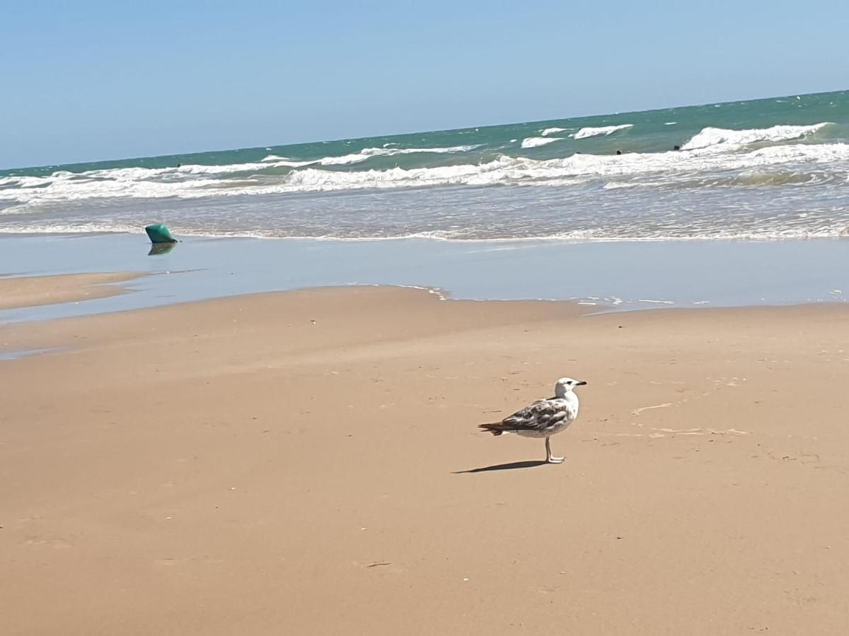 Apartamento Vista Azul Costa Ballena Bagian luar foto